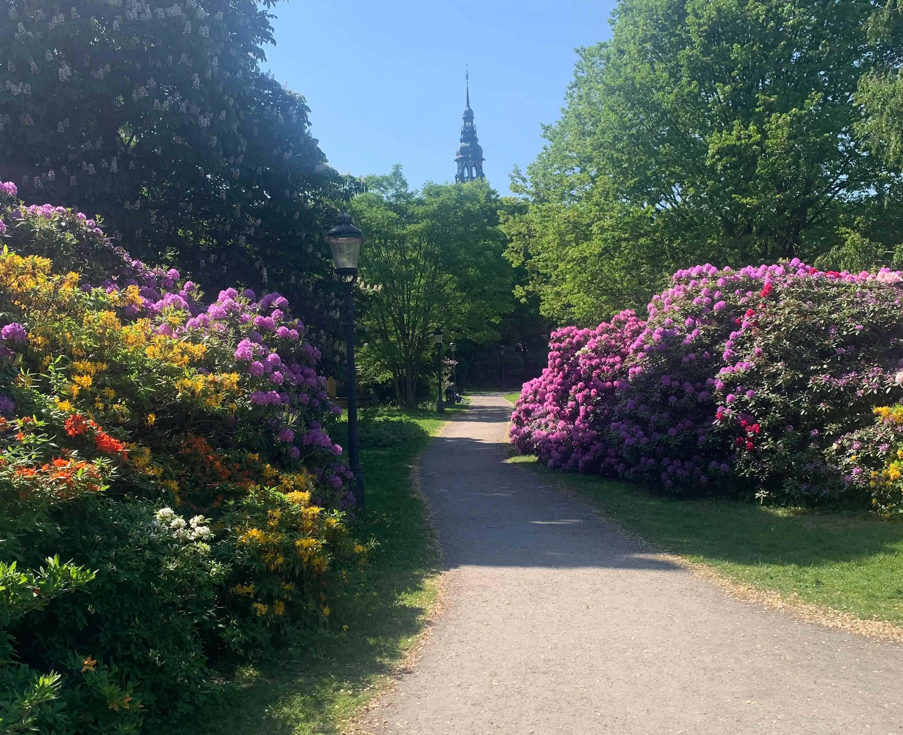 Kostenlose Natur Spaziergänge in Djurgården