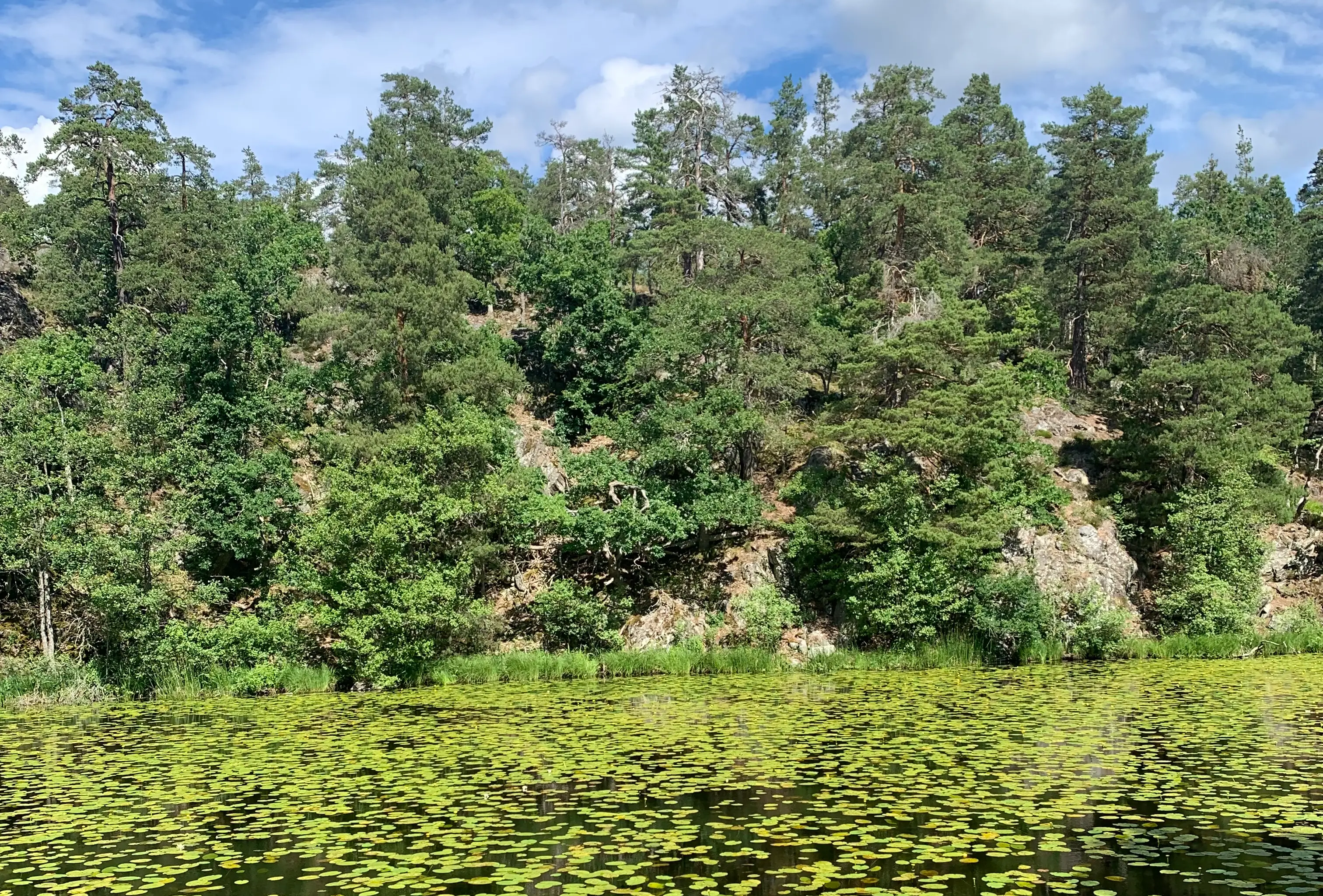 Wandern im Nackareservatet